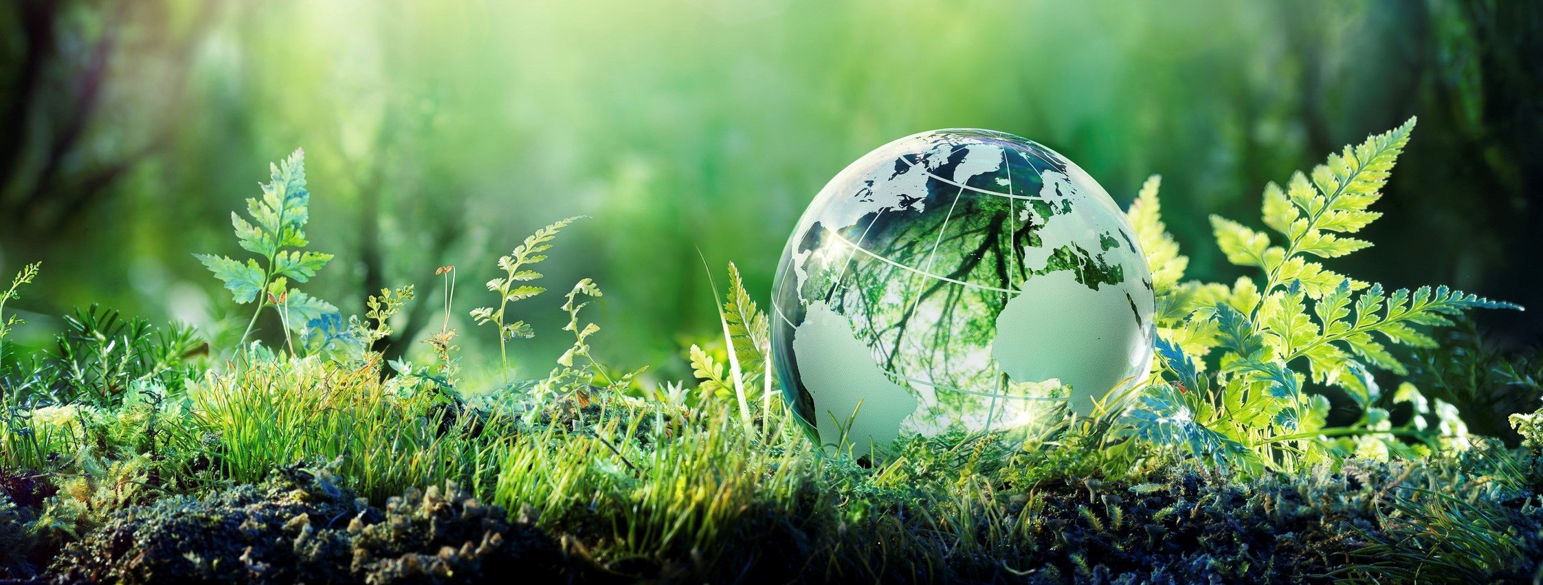 Greenery with globe graphic