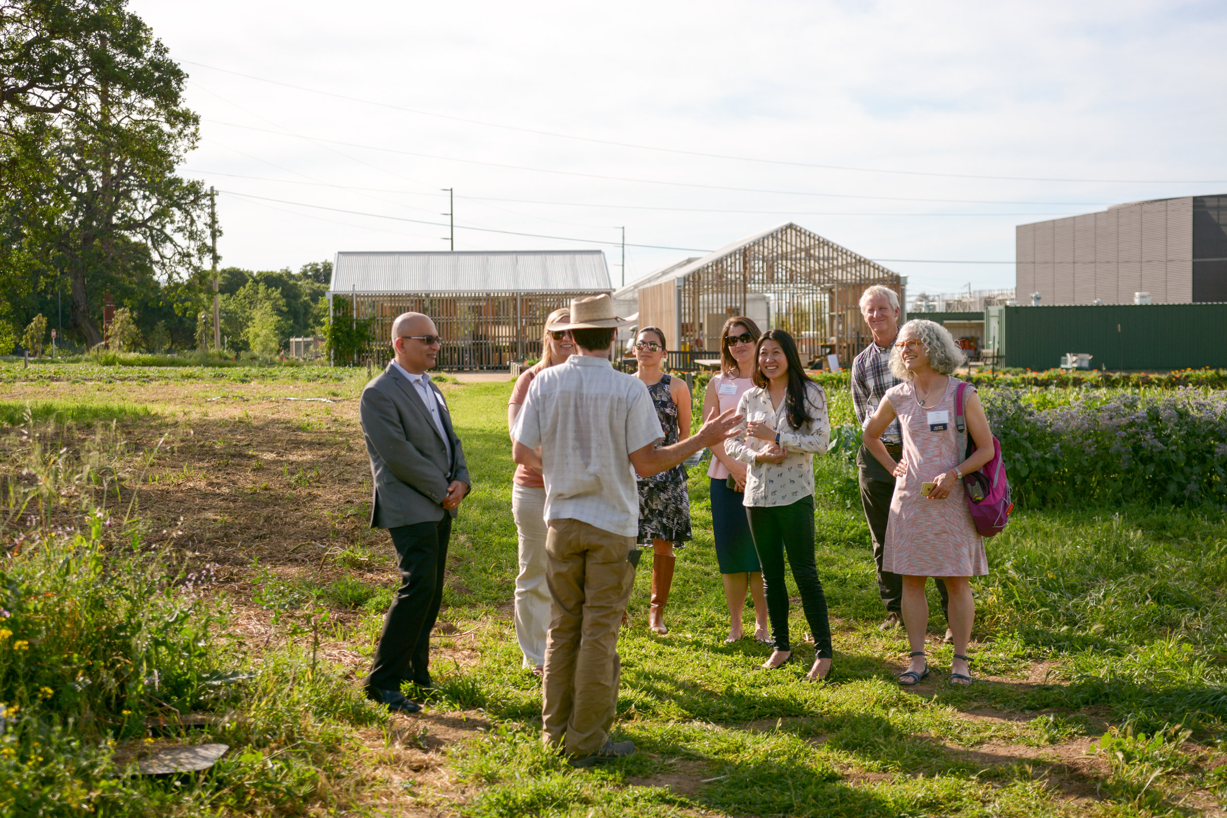 Visitors at the Stanford Educational Farm
