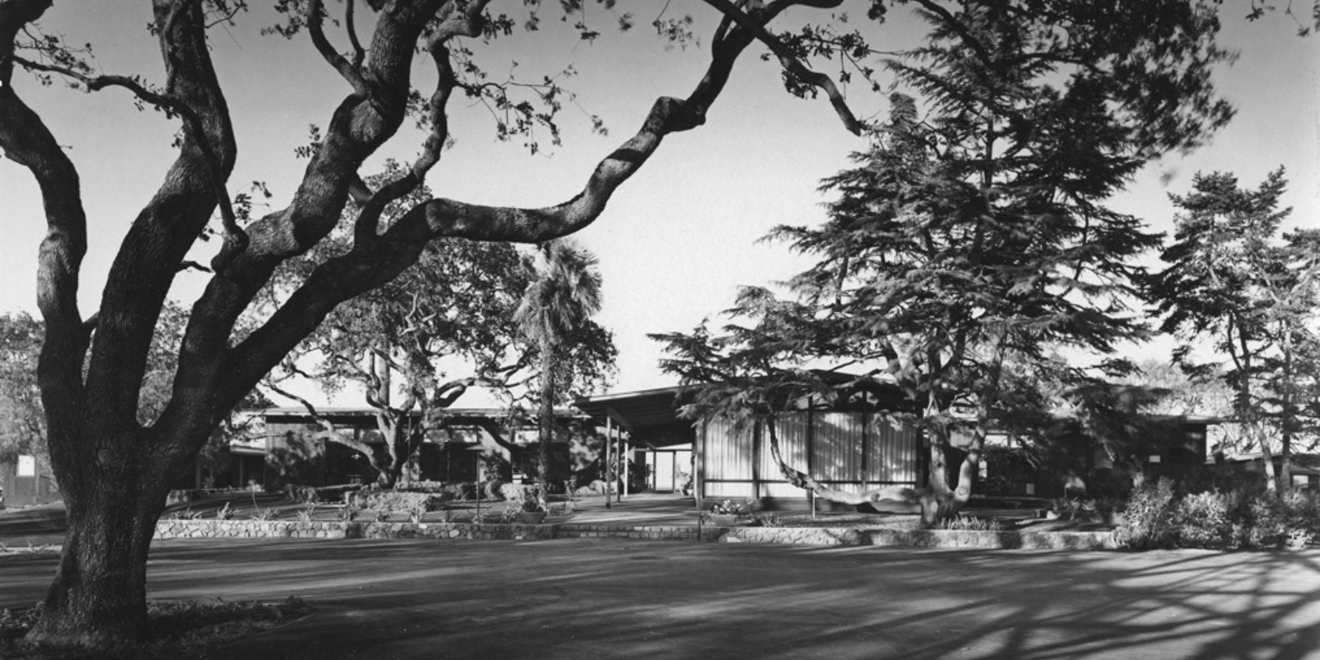 Center for Advanced Study in the Behavioral Sciences