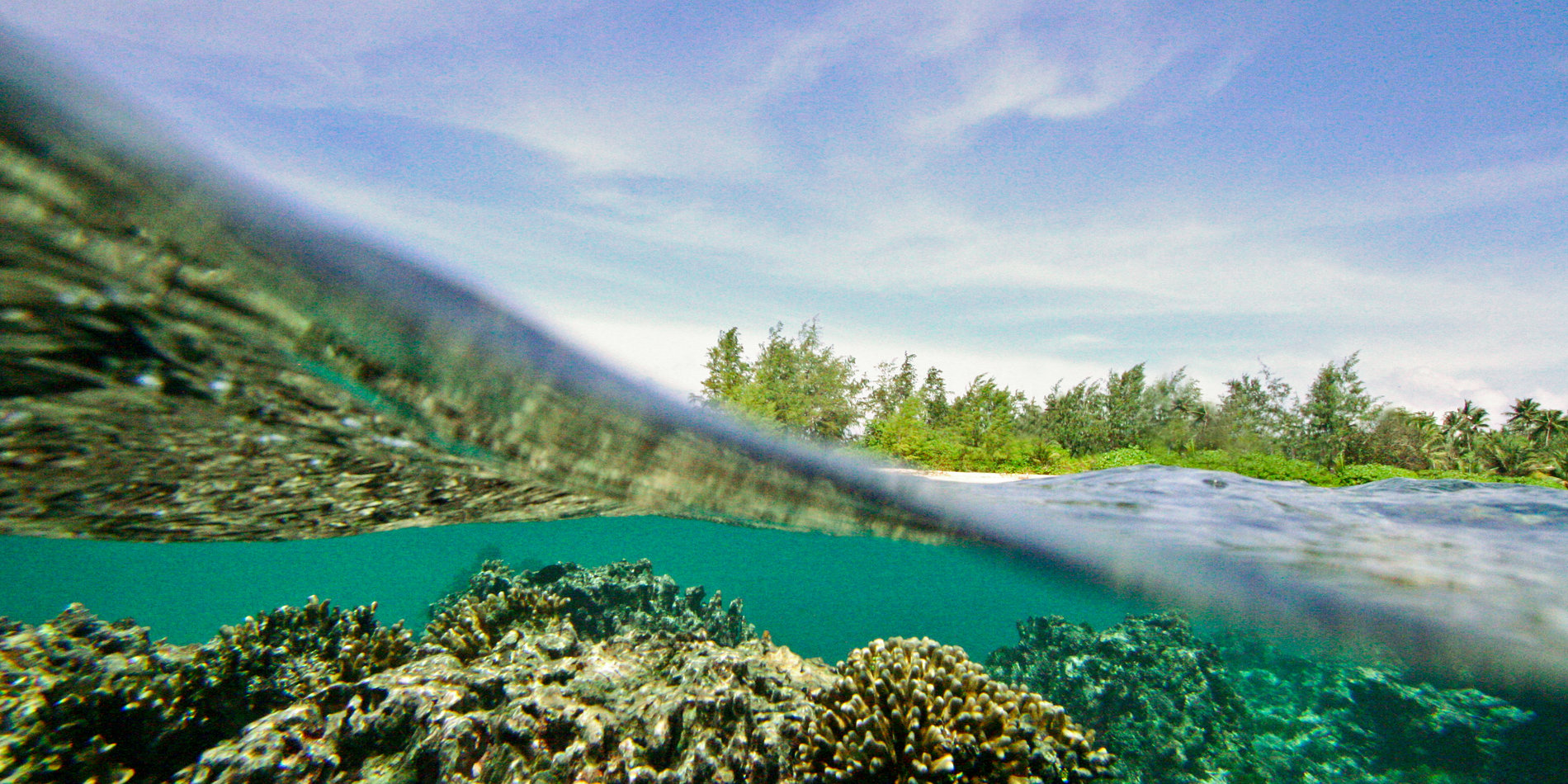 Dennis Island by Shannon Swanson