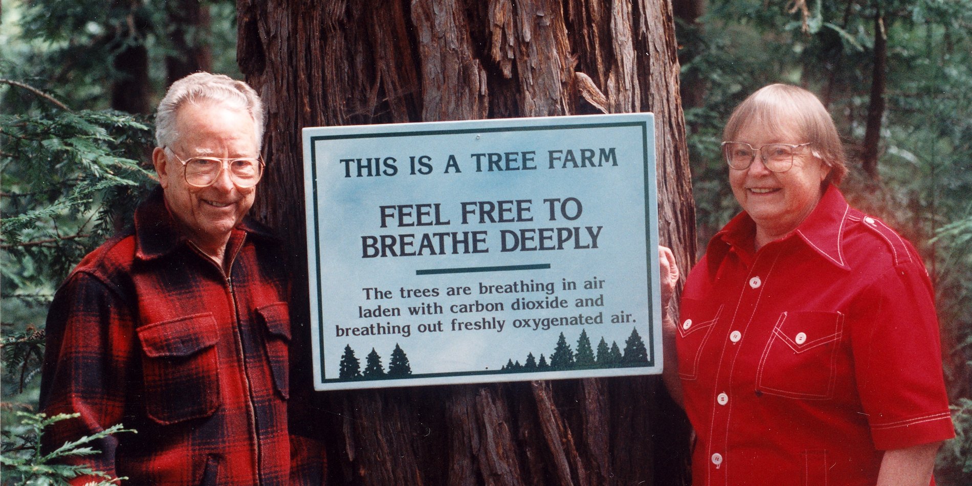George and Anita Thompson next to a coastal redwood