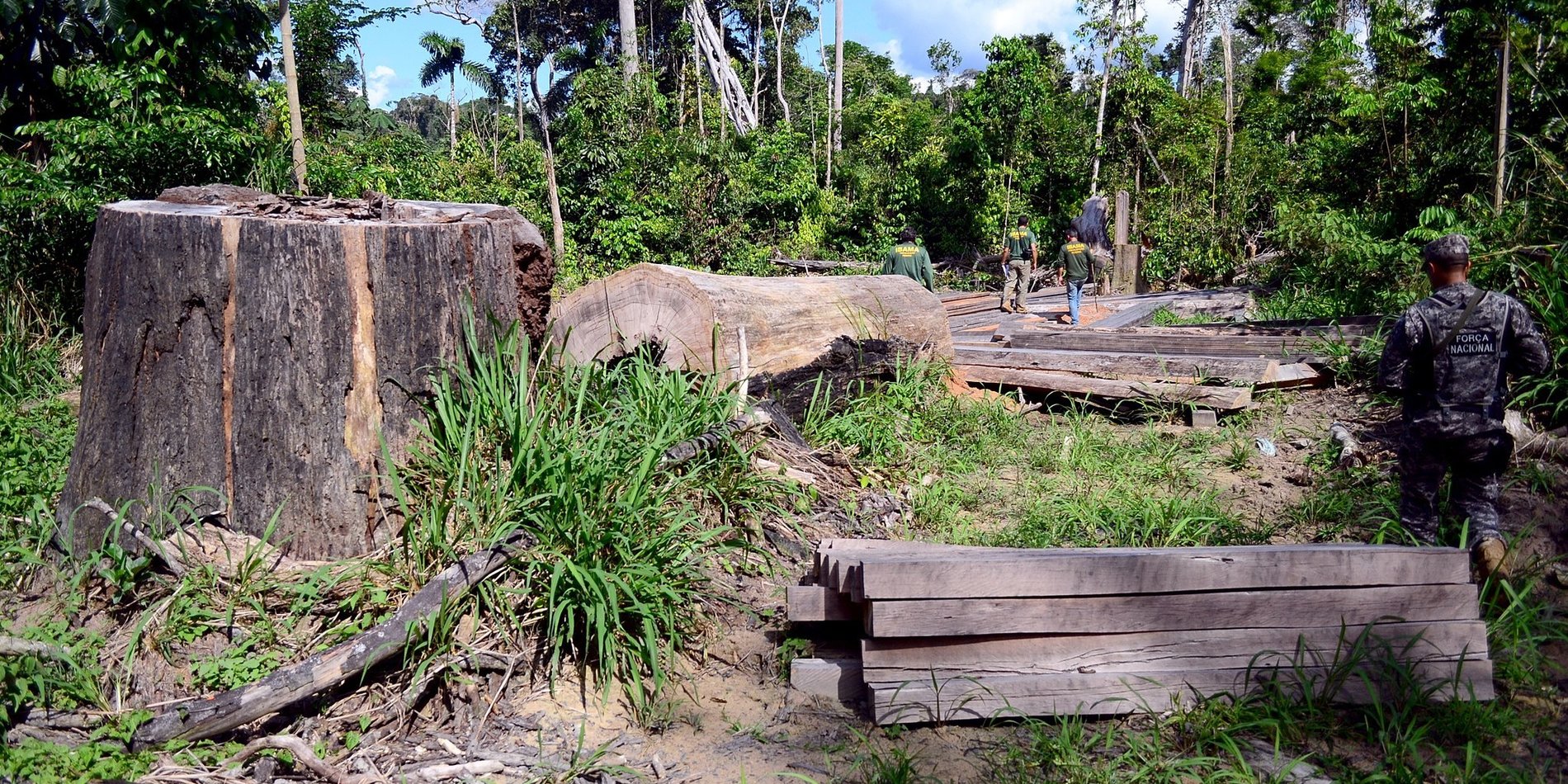 Deforestation in the Amazon.