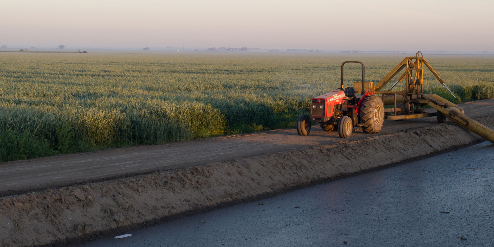Wheat field and irrigation canal
