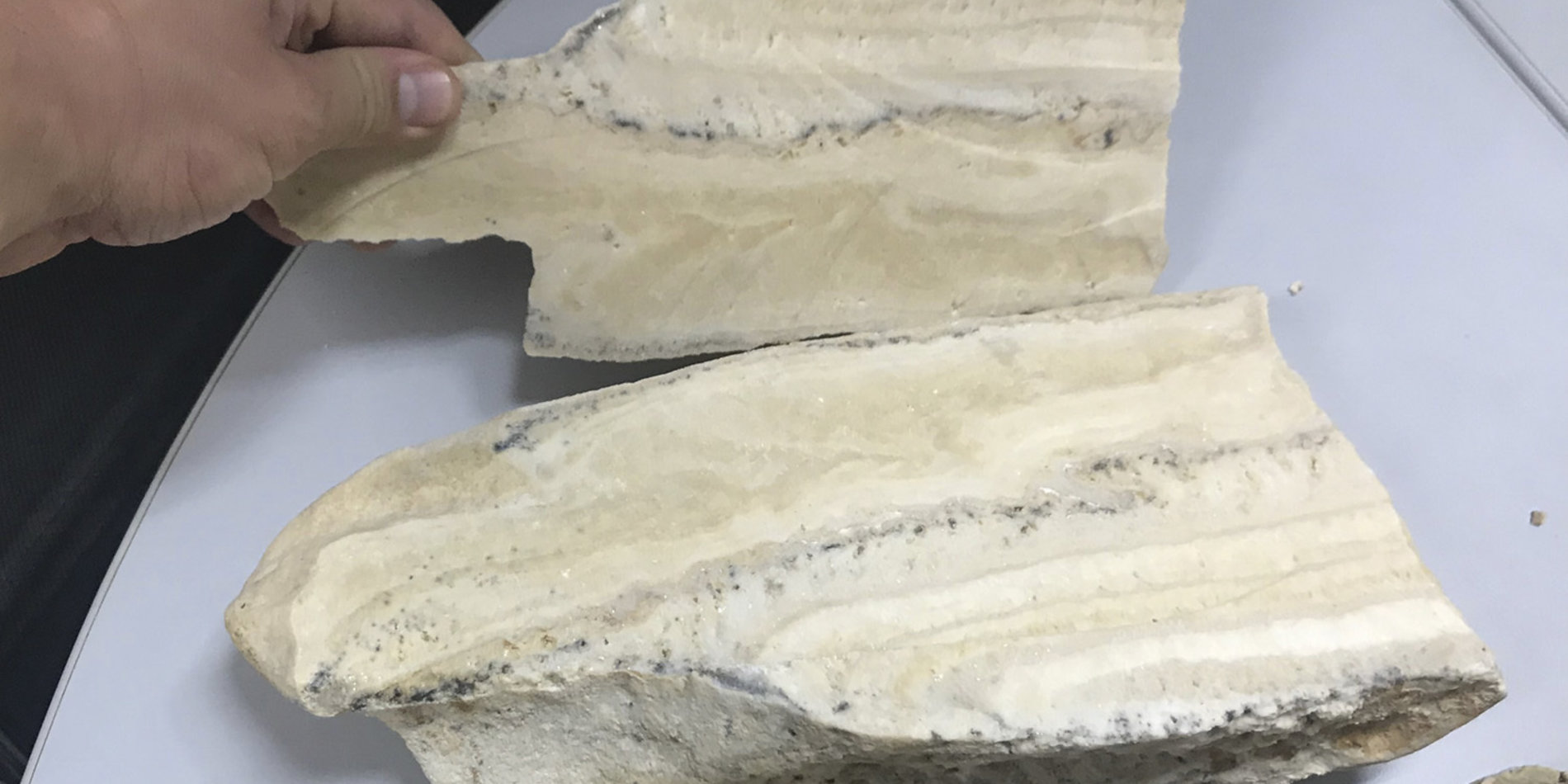 Cross section of speleothem.