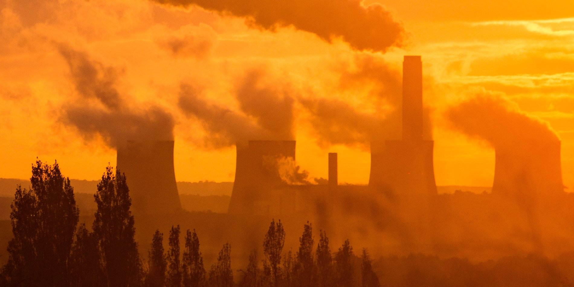 Trees and sky with smoke stacks.