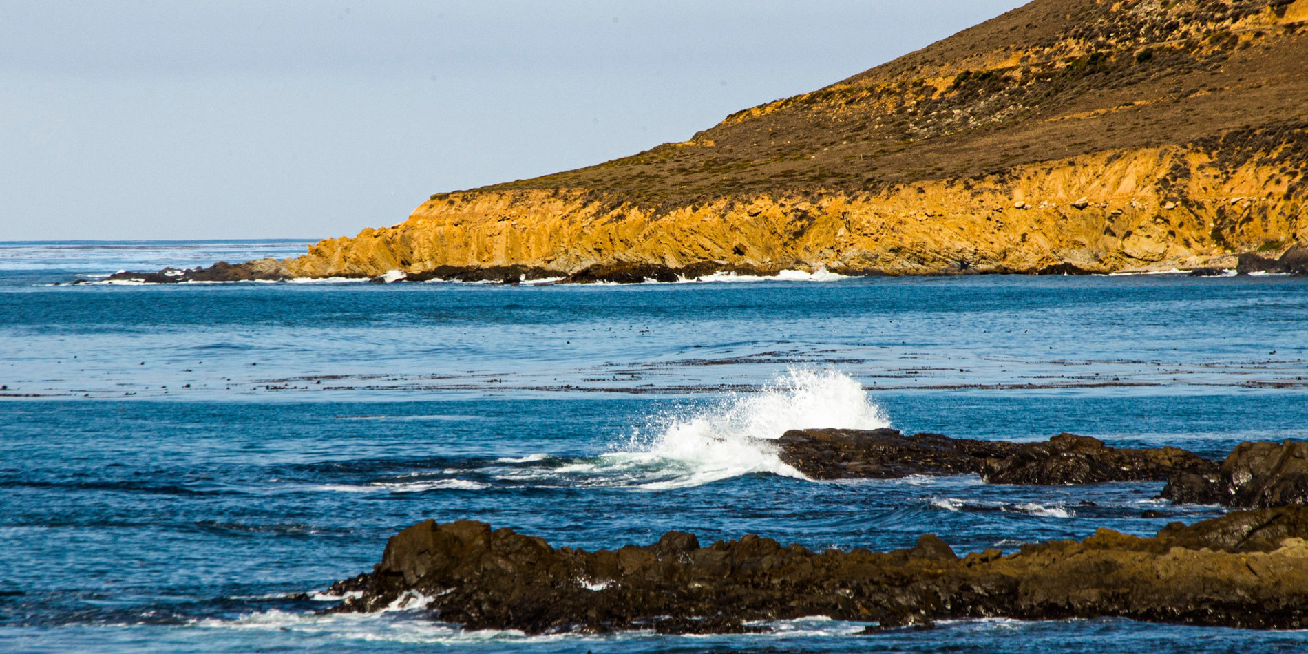 A rocky headland extends into the blue waters off the California coast. A wave breaks in the foreground.