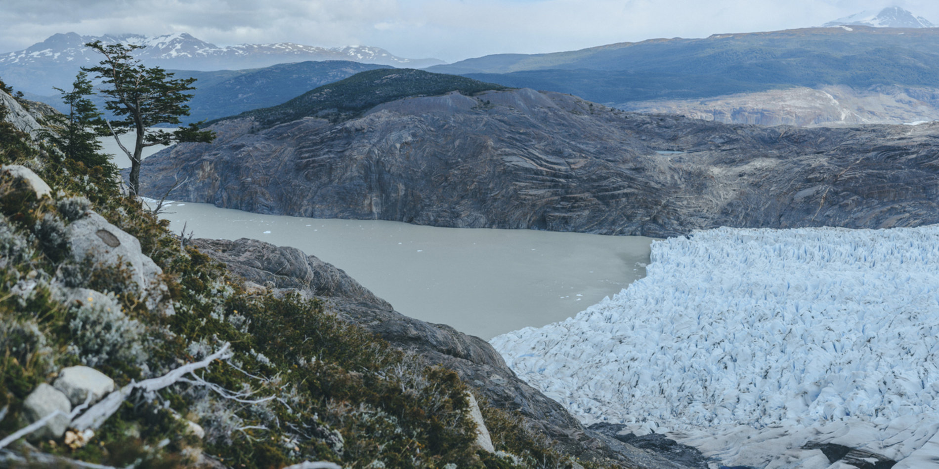 Grey Glacier in Patagonia