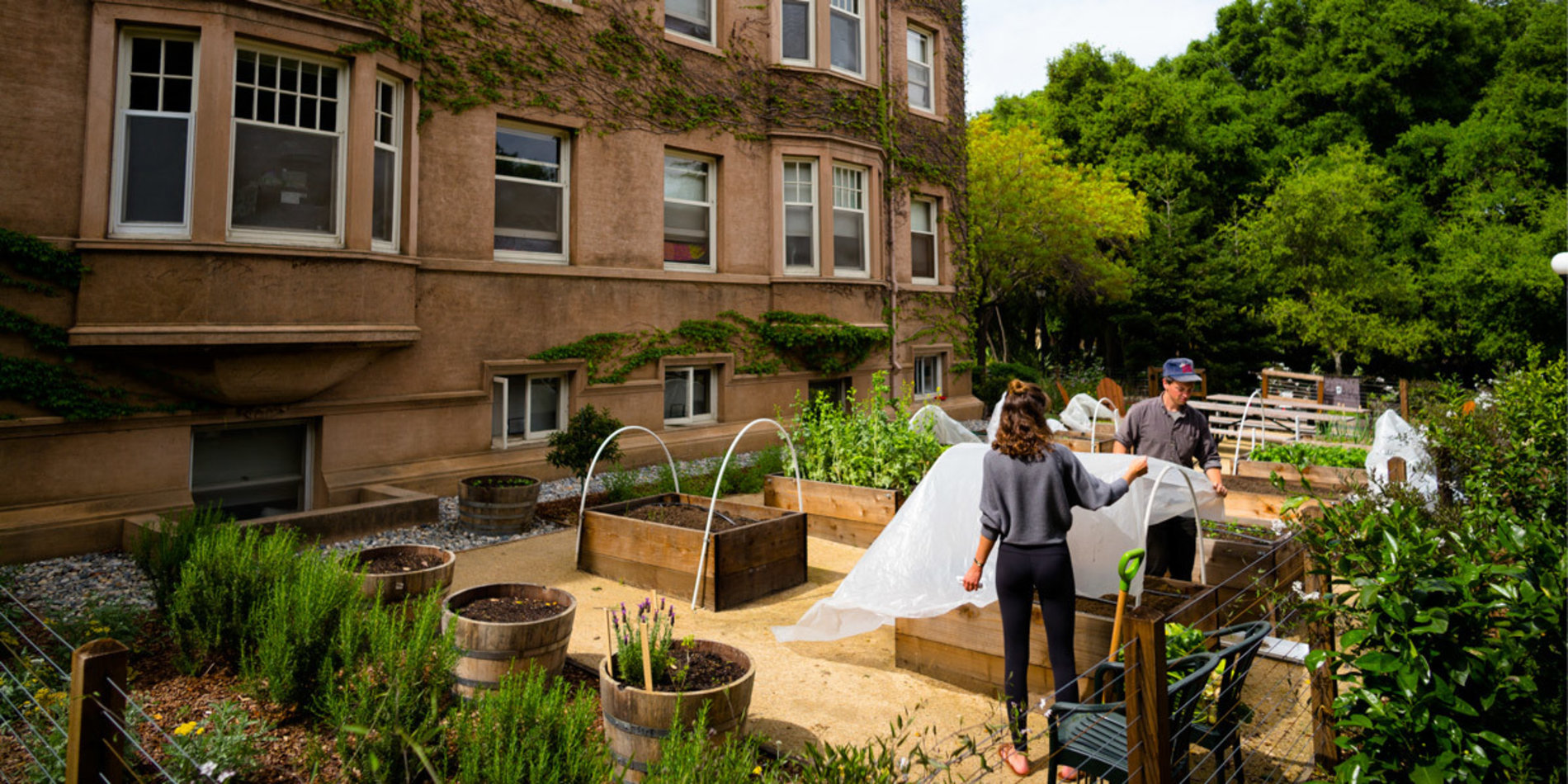 Roble Hall organic garden