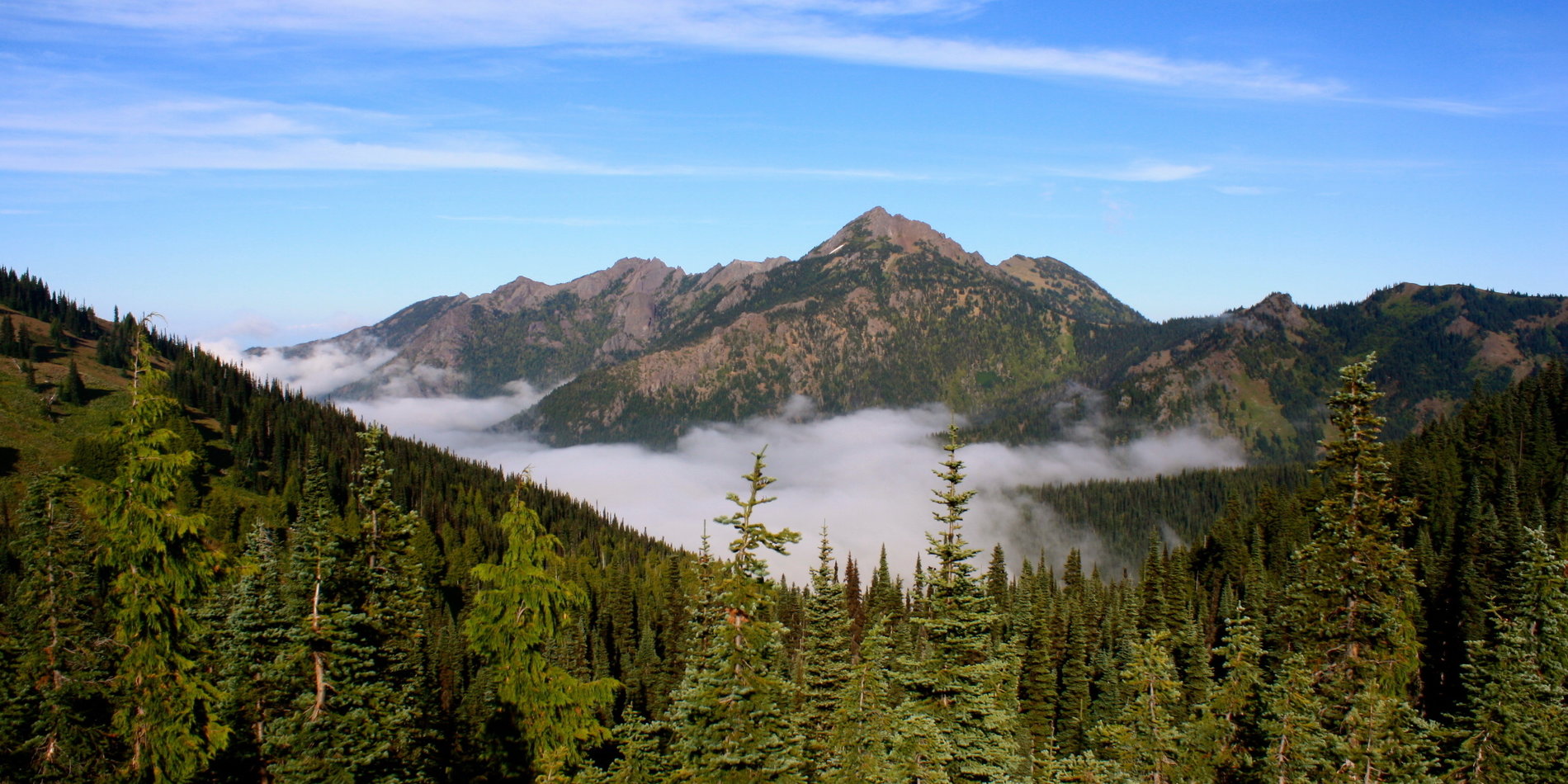 Olympic National Park