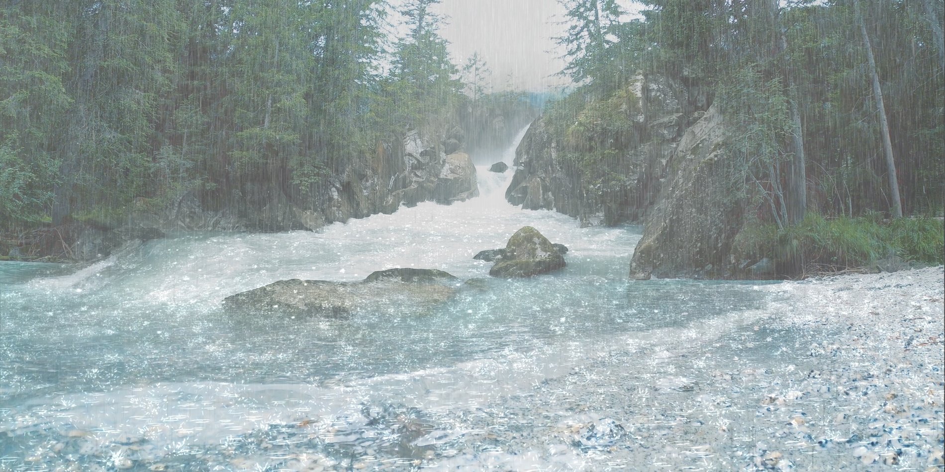 Rain pours down on a full river in a forest