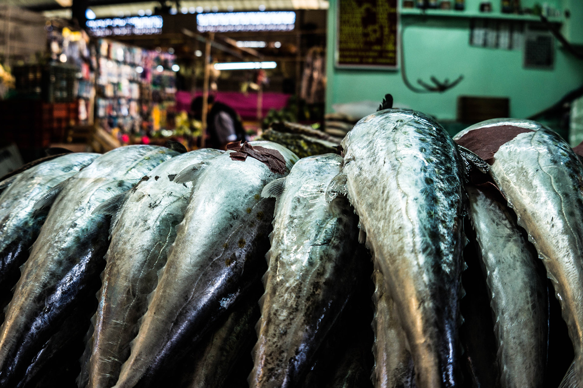 Fish market
