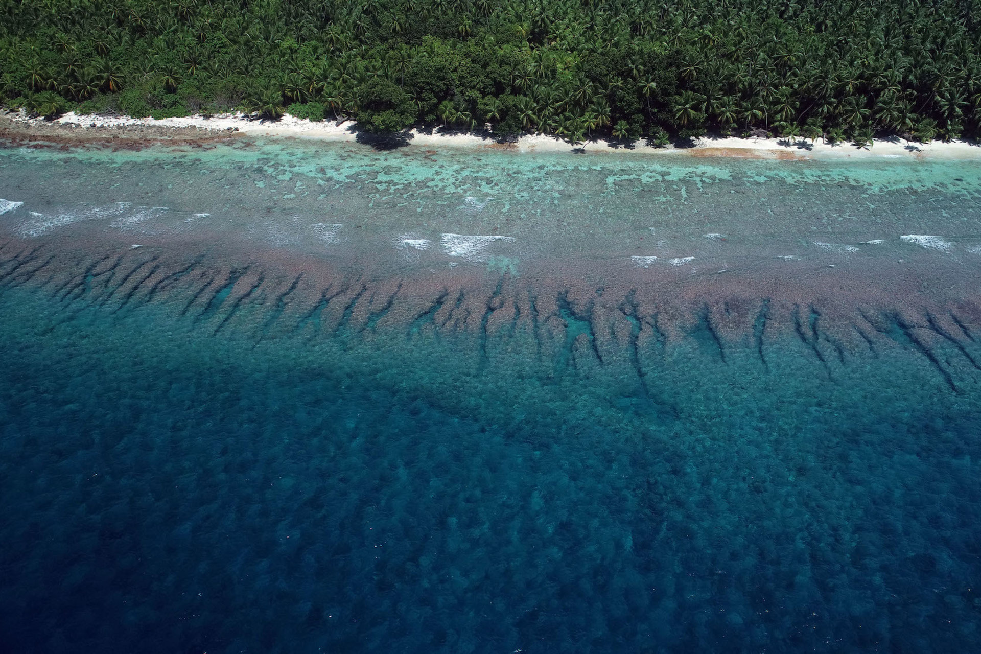 Aerial view of Ile Anglaise reef