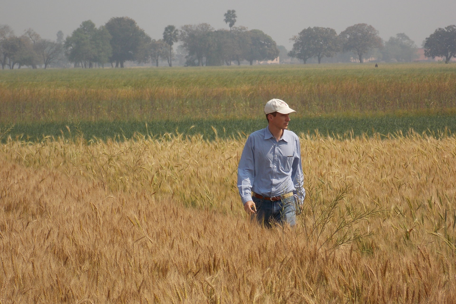David Lobell in a field
