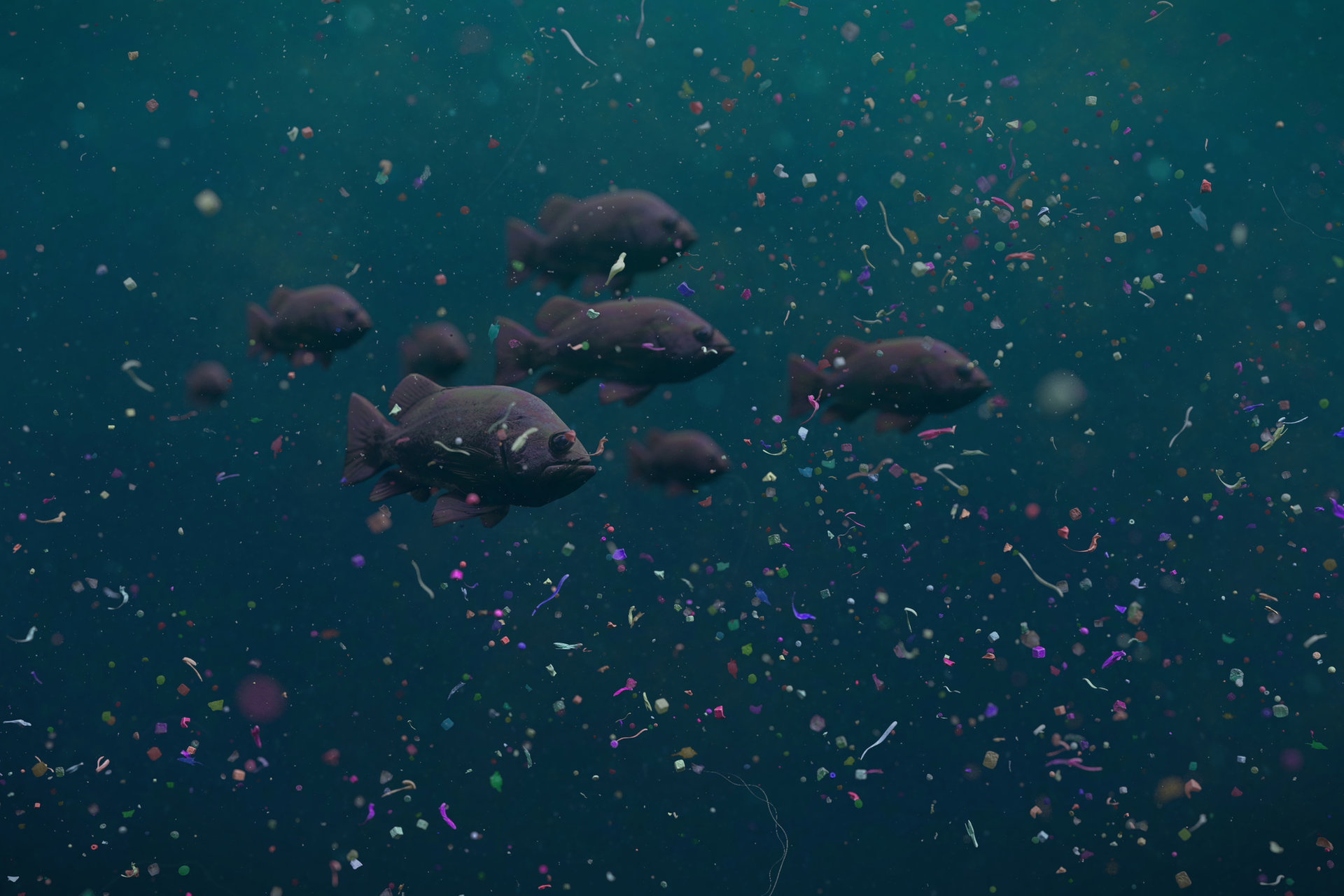 Fish swimming in plastic debris