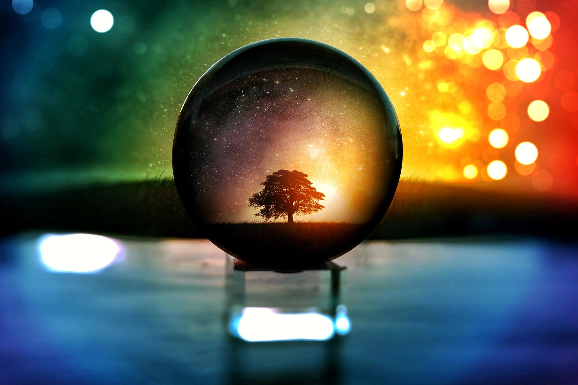 Tree in a water globe