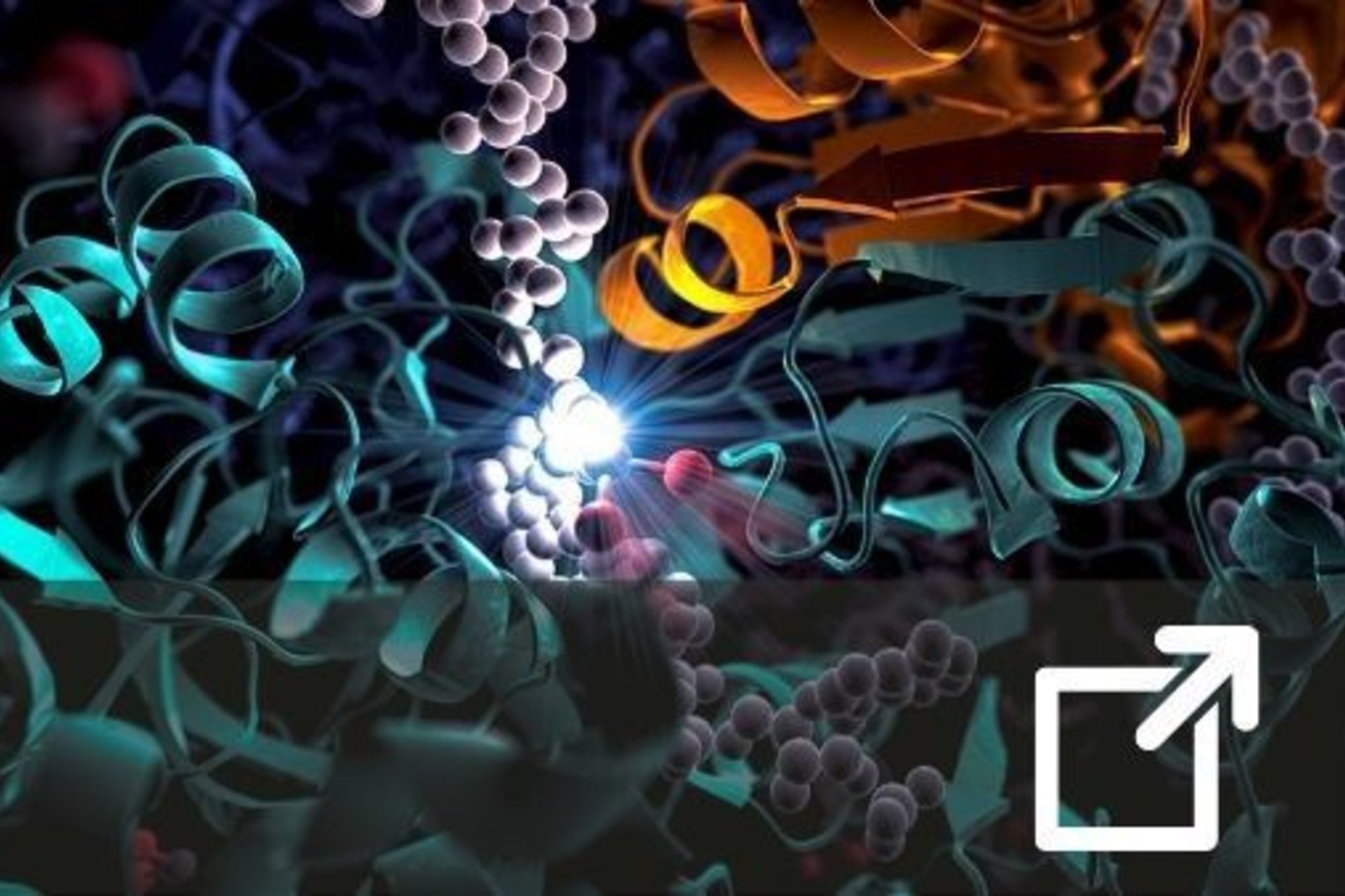 Soil microbe illustration - external link