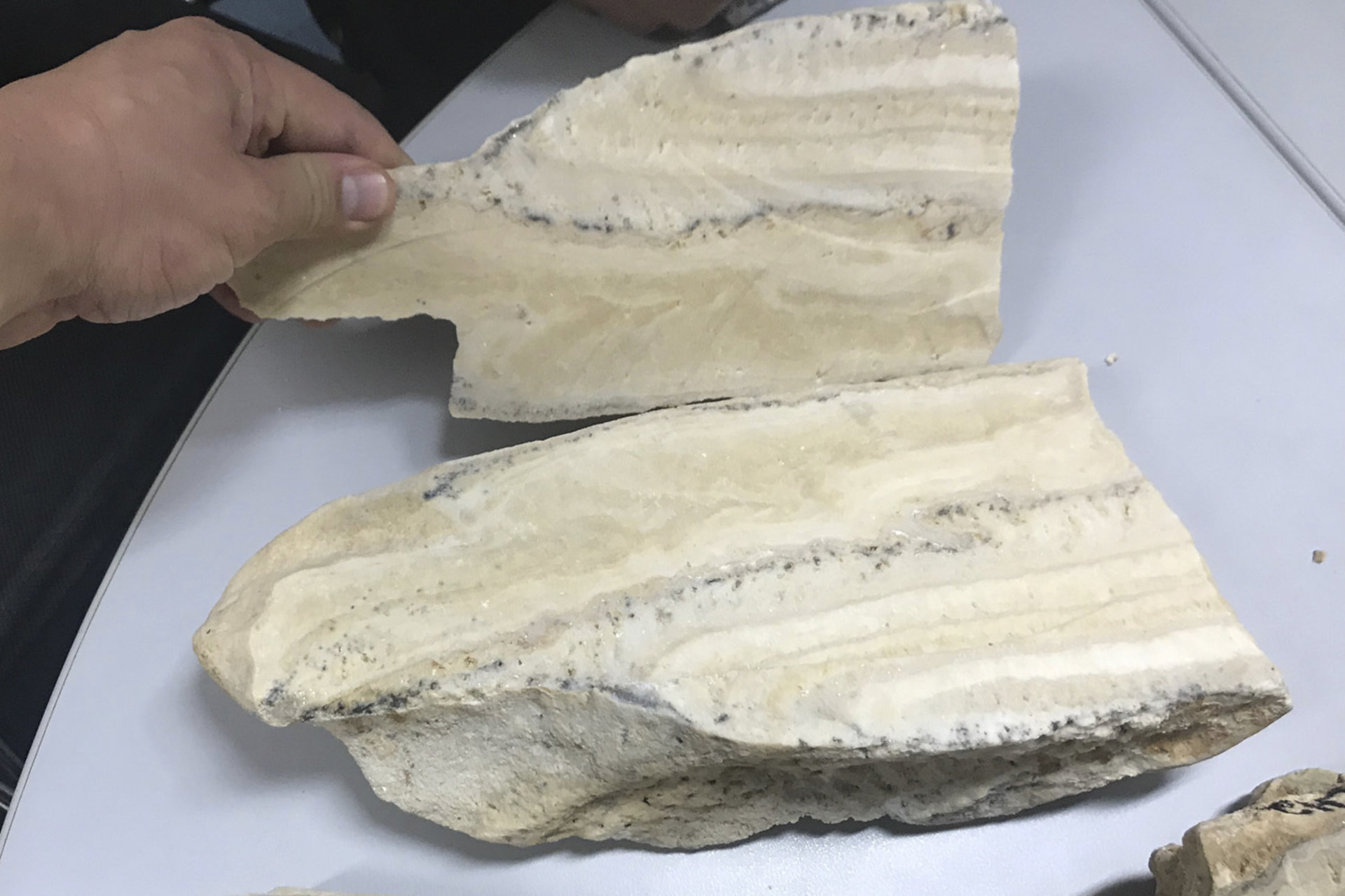 Cross section of speleothem.