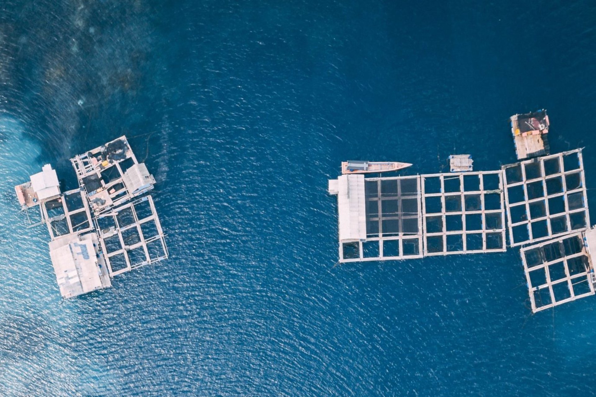 Aquaculture seen in blue water from above
