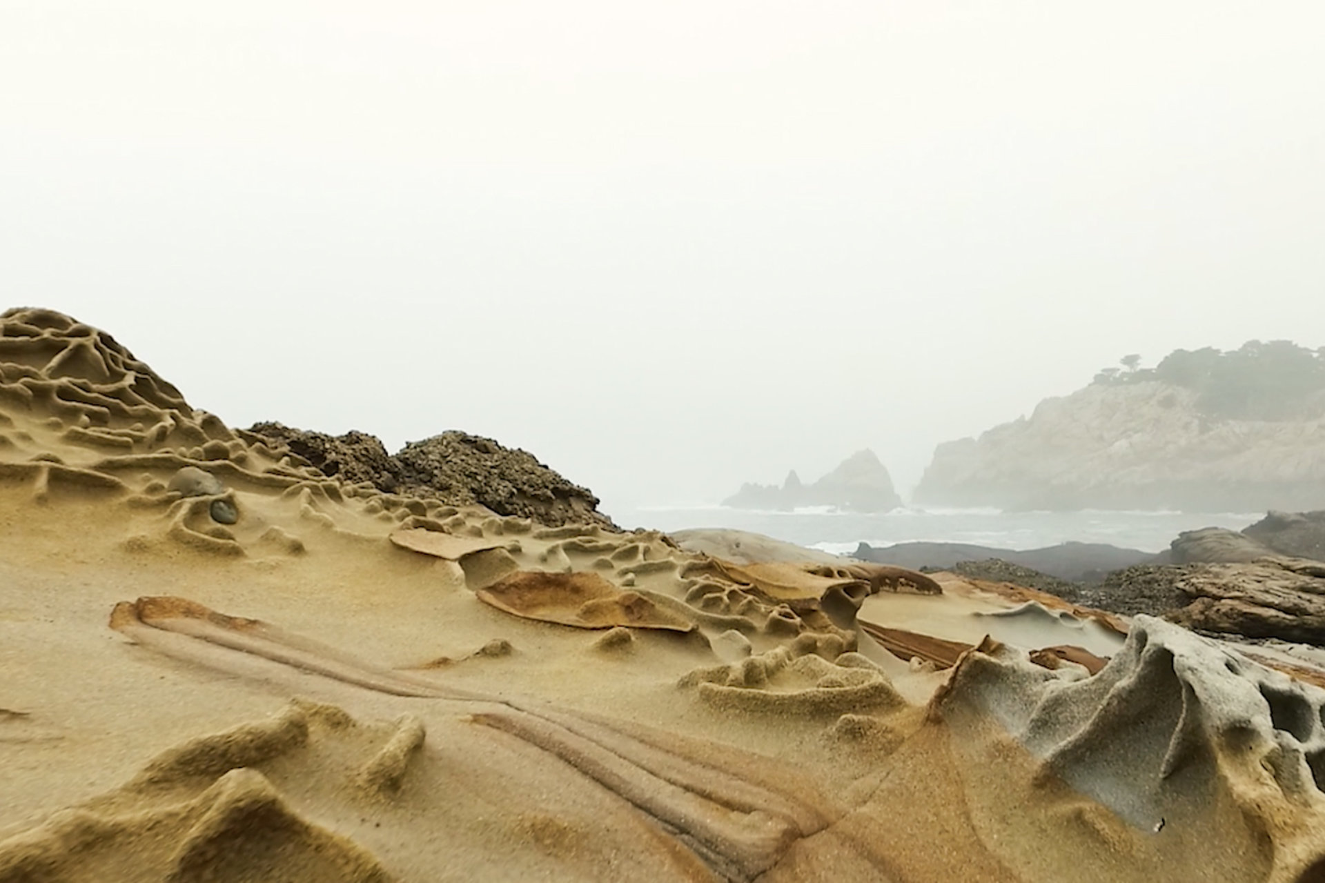 Point Lobos rock formations