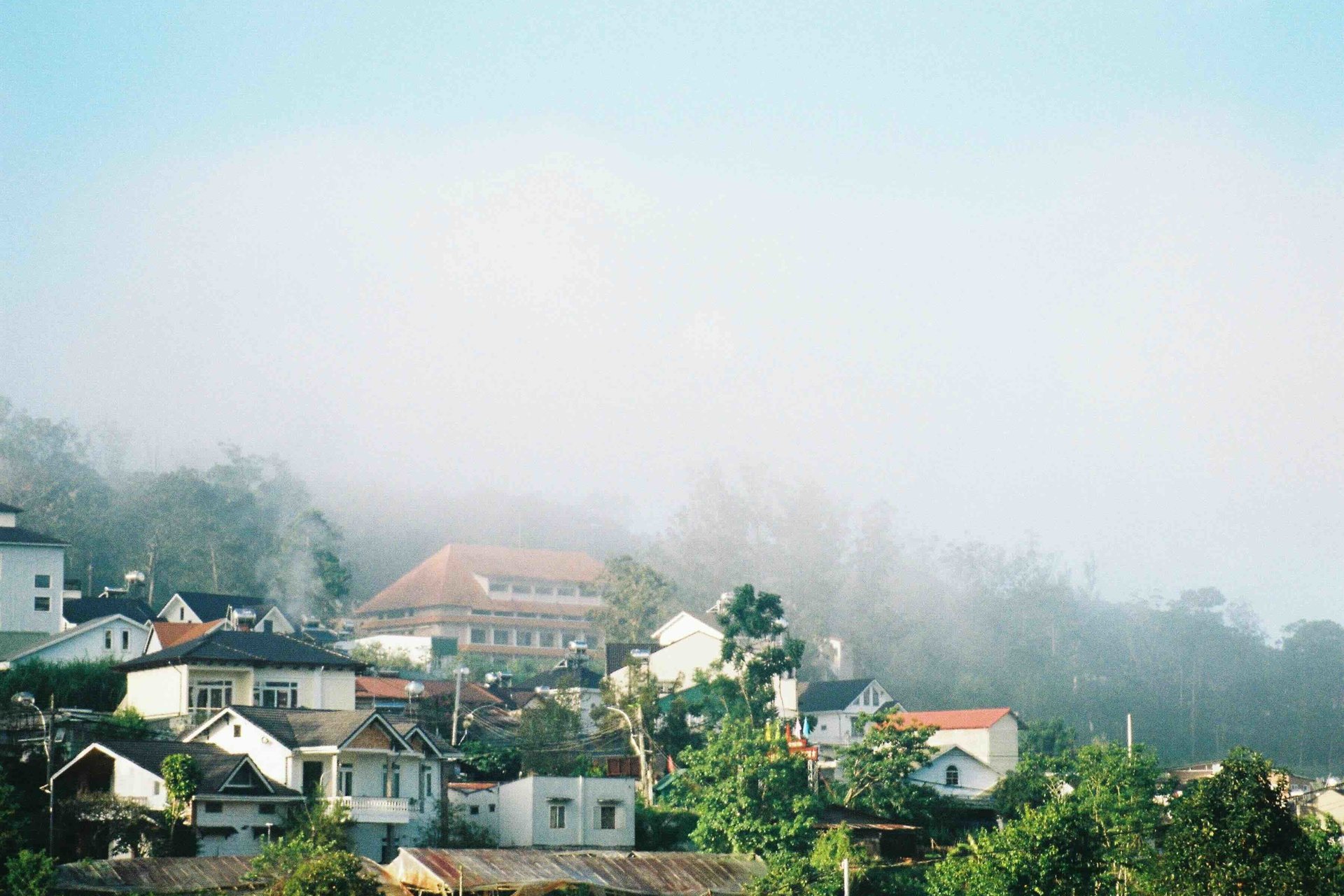 Misty village among lush greenery