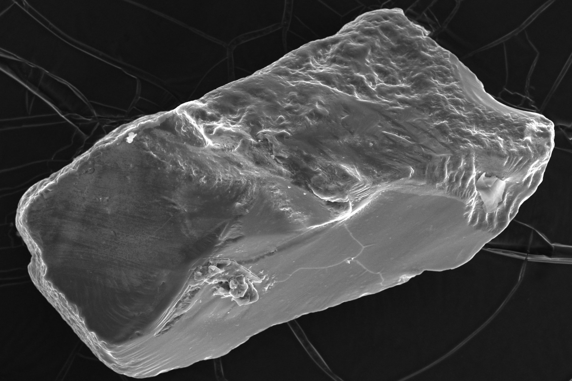 Sand grain magnified