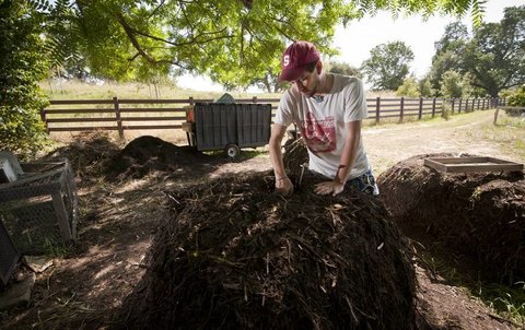 Student mixing compost
