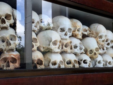 Skulls inside of glass case