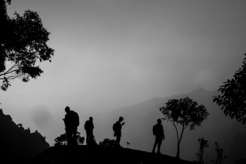 Students on the Wrigley Field Program overlook the foggy canyons of Koke’e National Park on Kaua’i during an early morning hike.