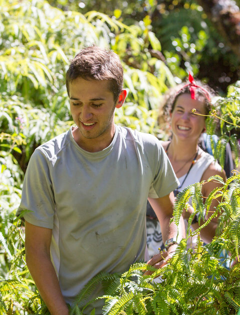 Students in forest