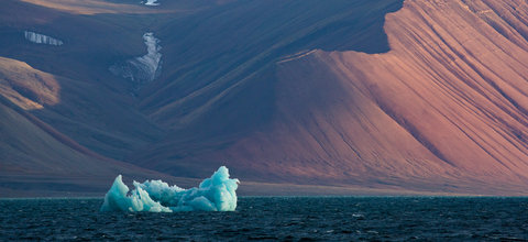 Iceberg drifting at sea