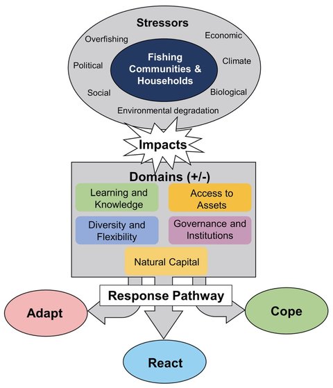 Graphic showing Adapt, React, Cope (ARC) response framework