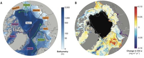 Arctic Ocean chlorophyll