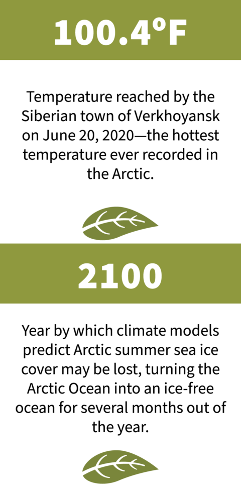 Arctic warming infographic