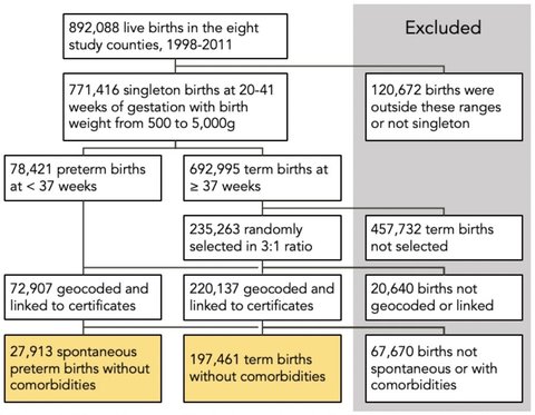 Flow chart of births included in study