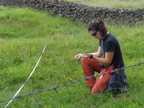Kate Brauman in the field