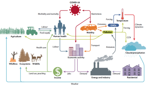 Earth system interactions