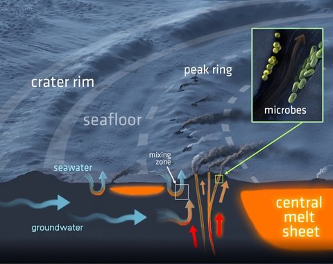 Illustration of the hydrothermal system in the Chicxulub impact crater 