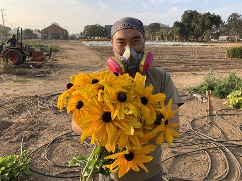 Working at the farm during COVID 