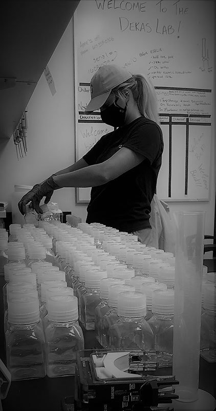 ScienceDuringCovid_Dekas_Anne