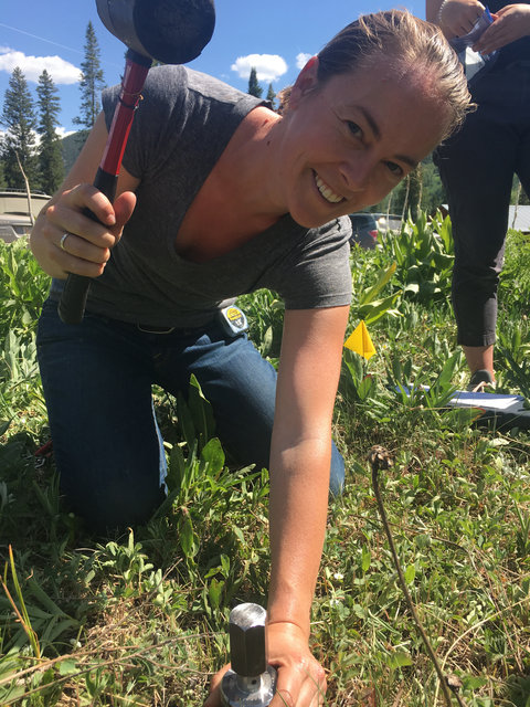Dana Chadwick in field