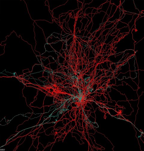 Male and female GPS tracks