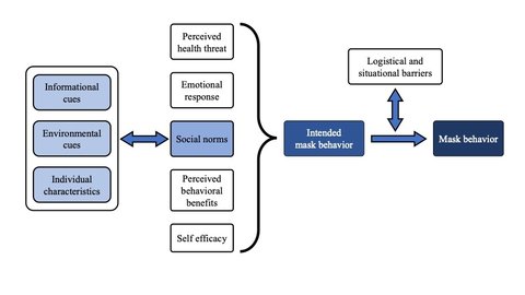 Diagram of mask behavior drivers