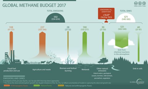 Global methane budget