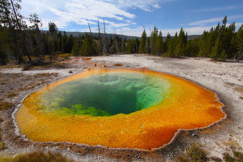 Morning Glory Pool, Yellowstone National Park