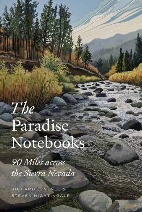 Paradise Notebooks book cover