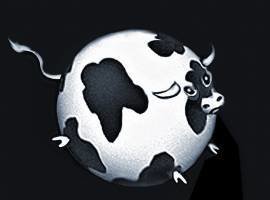Cow illustration