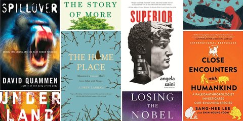 Summer reading mosaic