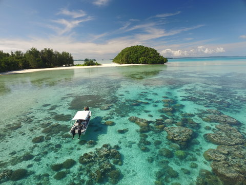 Shallow reefs of Palau