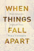 When Things Fall Apart book cover