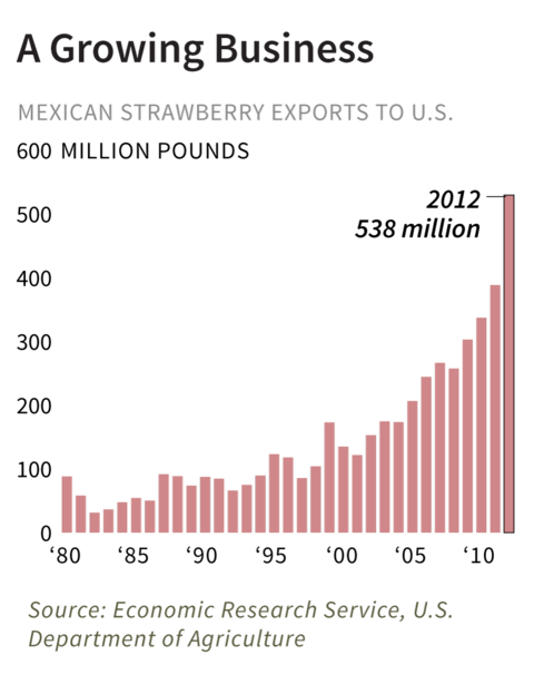Strawberry exports